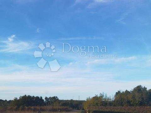 Vizinada Bauernhöfe, Landwirtschaft, Vizinada Forstwirtschaft