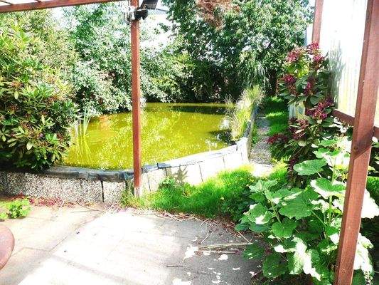 Teichanlage im Garten