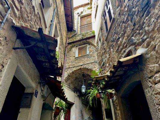 DA987_17 TERRA ITALIA IMMOBILIEN_TERRA ITALIA IMMO