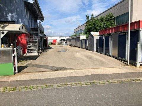 Nürnberg Halle, Nürnberg Hallenfläche