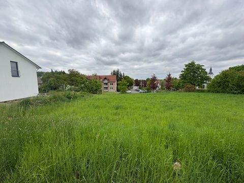 Horn-Bad Meinberg Grundstücke, Horn-Bad Meinberg Grundstück kaufen