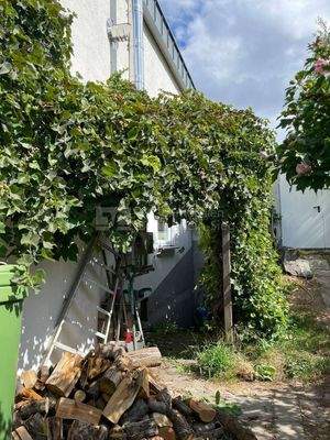 Gartenansicht Abgang zur Werkstatt 