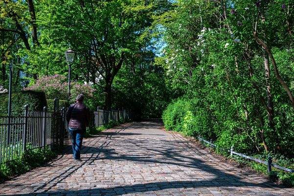 Volkspark_April2024_ASE_5588