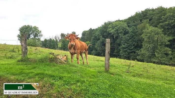 Ihre Nachbarschaft 