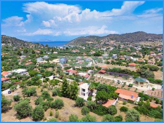 1719a0b5d9884ec1ad016134545d2417-original