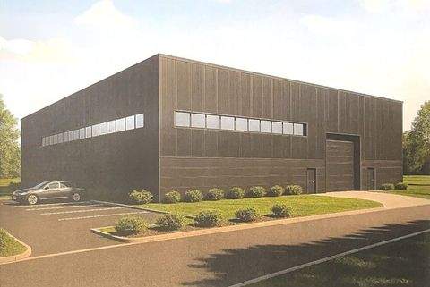 Neuburg an der Donau Halle, Neuburg an der Donau Hallenfläche