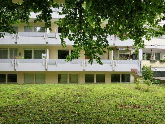 unverstellter Blick ins Grüne