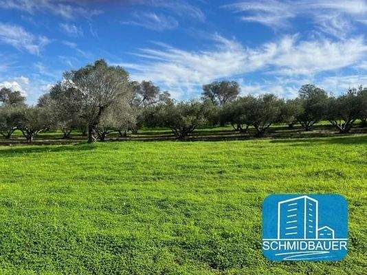 Kreta, Pitsidia: Grundstück zwischen zwei schönen Dörfern zu verkaufen