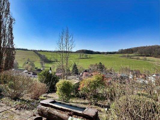 Ausblick vom Garten