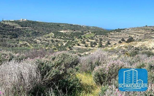 Kreta, Pitsidia: Grundstück am Ortsrand zu verkaufen