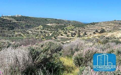 Pitsidia Grundstücke, Pitsidia Grundstück kaufen