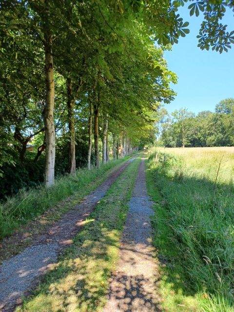 Westoverledingen Häuser, Westoverledingen Haus kaufen