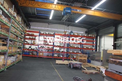 Ostfildern Halle, Ostfildern Hallenfläche