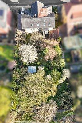 Luftaufnahme vom Garten