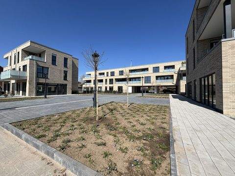 Borken / Burlo Wohnungen, Borken / Burlo Wohnung mieten