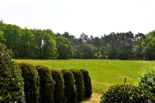 Natur direkt vor der Haustüre 