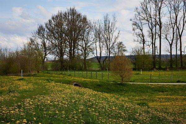 Aussicht im Frühjahr