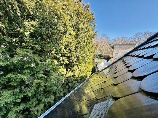 Nahe Clara-Zetkin-Park