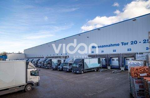 Alsdorf Halle, Alsdorf Hallenfläche