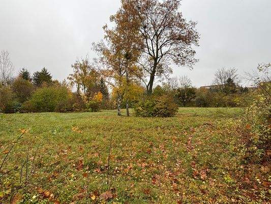 Blick über das Grundstück