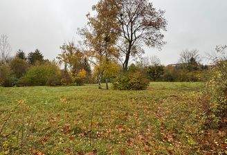 Blick über das Grundstück