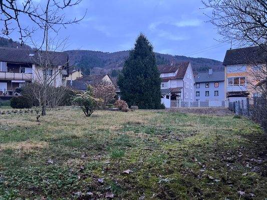 24-02-07 17-18-01 0270.jpg