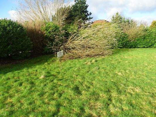 Fritz-Husmann-Weg, Grundstück 2024, 2.JPG