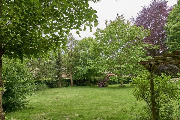 Der parkähnliche Garten mit herrlichem Baumbestand