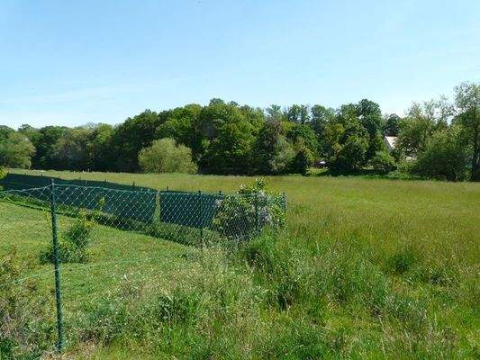 Blick in die Muldeaue