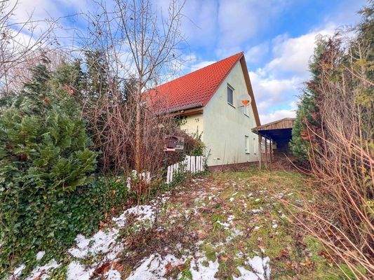 Zufahrt Carport und Zugang zum Haus