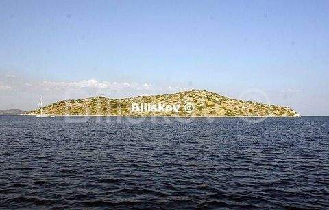 Murter-Kornati Bauernhöfe, Landwirtschaft, Murter-Kornati Forstwirtschaft