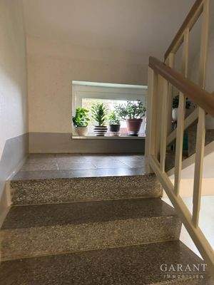 10-gepflegter-Hausflur