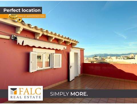 Palma Häuser, Palma Haus kaufen