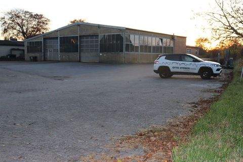 Schönberg (Holstein) Halle, Schönberg (Holstein) Hallenfläche