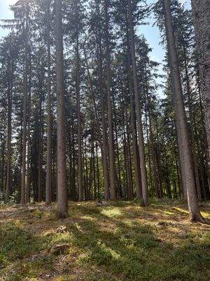 2025-08-22 15.22.44.jpg