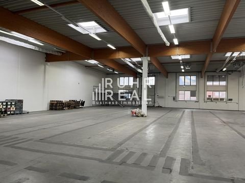 Bielefeld Halle, Bielefeld Hallenfläche