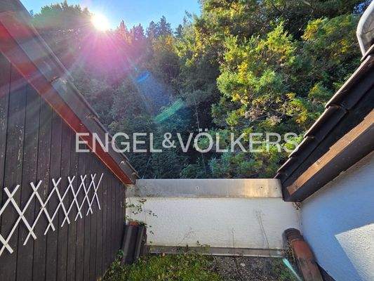 Dachterrasse (Dachgeschoss)