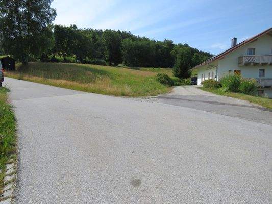 Zufahrt und Grundstück   