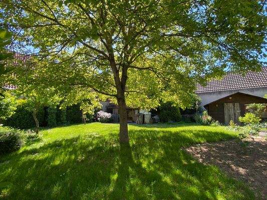 schattiges Plätzchen ...