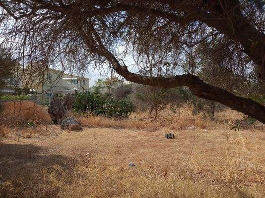 Ein wirklich erstaunliches Grundstück am Meer in Stavros, Chania