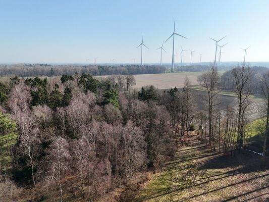 mit Wald- und Wiesengrundstück