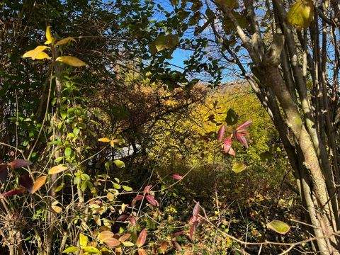 Gaimersheim Grundstücke, Gaimersheim Grundstück kaufen