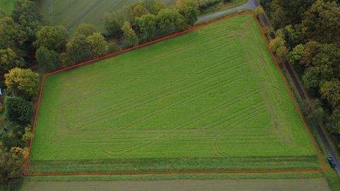 Espelkamp-Vehlage Bauernhöfe, Landwirtschaft, Espelkamp-Vehlage Forstwirtschaft
