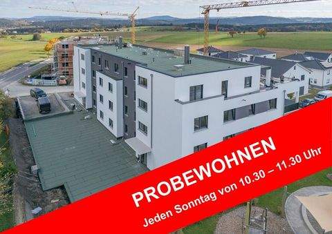 Dauchingen Wohnungen, Dauchingen Wohnung kaufen