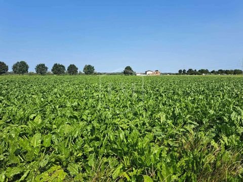 Düren Bauernhöfe, Landwirtschaft, Düren Forstwirtschaft