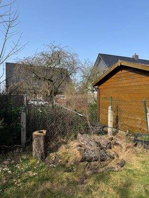 WhatsApp Image 2026-03-09 at 02.28.52 (11).jpeg