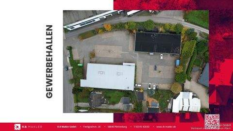 Halver Halle, Halver Hallenfläche