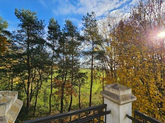 Blick von der Dachterrasse