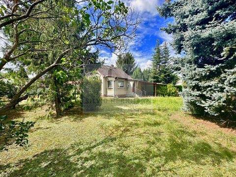 Wildau Häuser, Wildau Haus kaufen