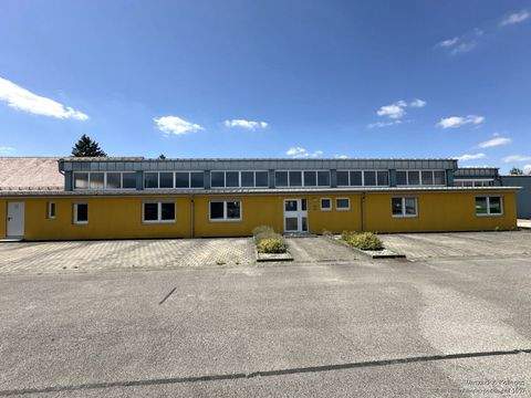 Allersberg Halle, Allersberg Hallenfläche